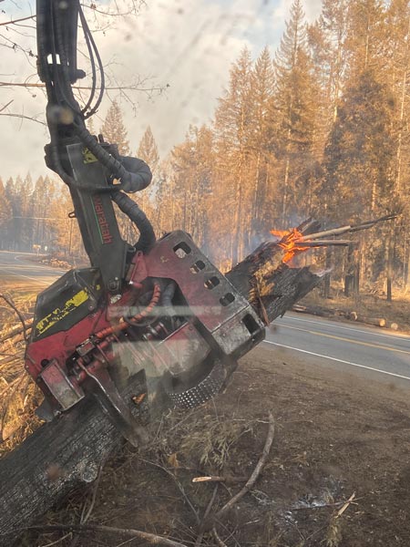assist with clearing wildfire debris