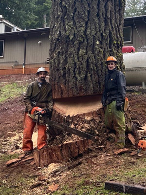 crew members and large tree