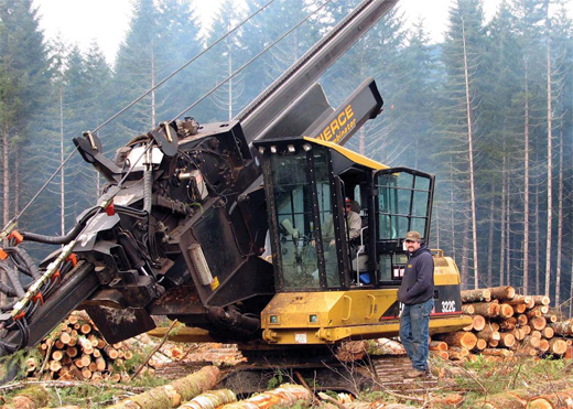 Logging scene