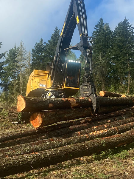buncher lifting logs