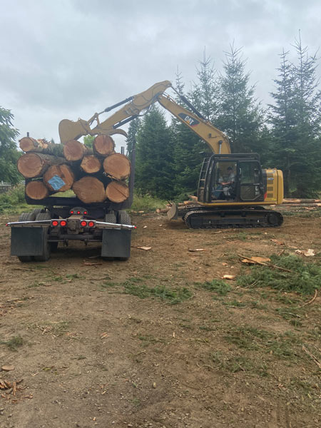 loading logs onto truck
